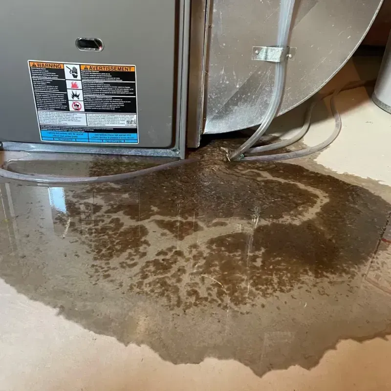 Appliance Leak Cleanup in Groveland, FL